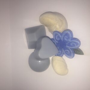 Floridian dreams | holiday inspired single melt