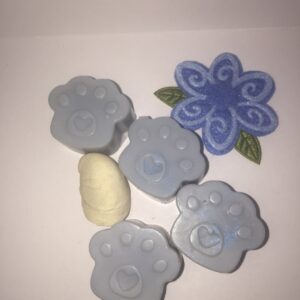 Floridian dreams | holiday inspired pack of 4 melts