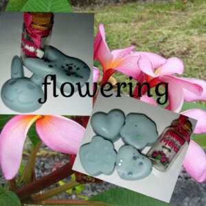 flowering
