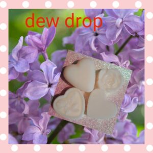 dew drop
