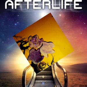 Afterlife HALLOWEEN waxident