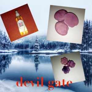 Devil Gate