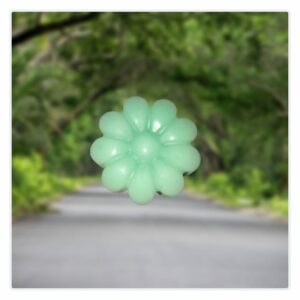 pine fresh DISCONTINUED